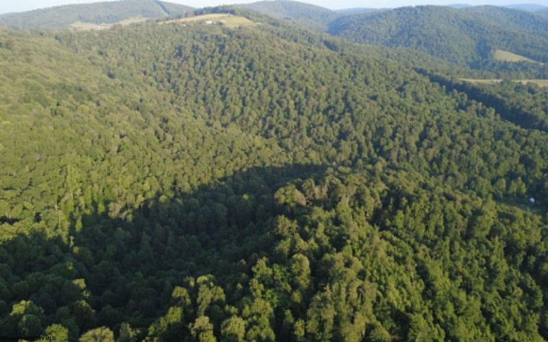 0 Saltlick Road, Terra Alta, West Virginia 26764, 0 , 0 ,0,Lots/land,For Sale,Saltlick,0,10165654