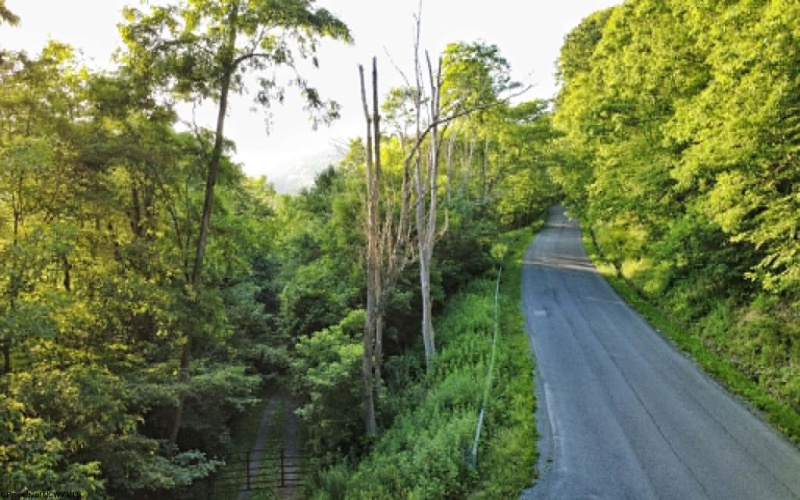 0 Saltlick Road, Terra Alta, West Virginia 26764, 0 , 0 ,0,Lots/land,For Sale,Saltlick,0,10165654
