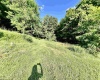 1945 Wilson Ridge Road, Duck, West Virginia 25063, 0 , 0 ,0,Lots/land,For Sale,Wilson Ridge,0,10165648