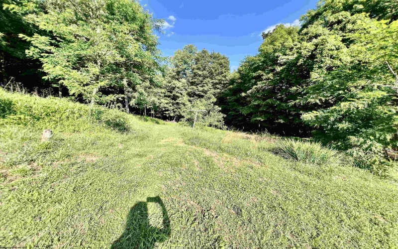 1945 Wilson Ridge Road, Duck, West Virginia 25063, 0 , 0 ,0,Lots/land,For Sale,Wilson Ridge,0,10165648