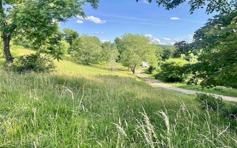 1945 Wilson Ridge Road, Duck, West Virginia 25063, 0 , 0 ,0,Lots/land,For Sale,Wilson Ridge,0,10165648