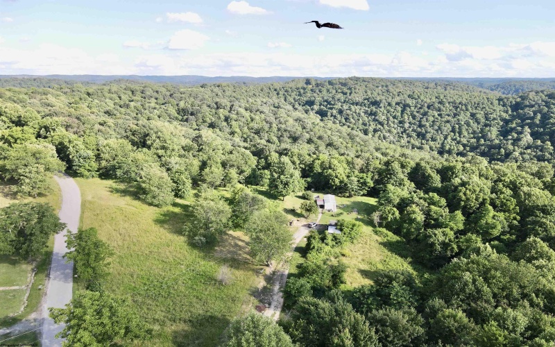 1945 Wilson Ridge Road, Duck, West Virginia 25063, 0 , 0 ,0,Lots/land,For Sale,Wilson Ridge,0,10165648