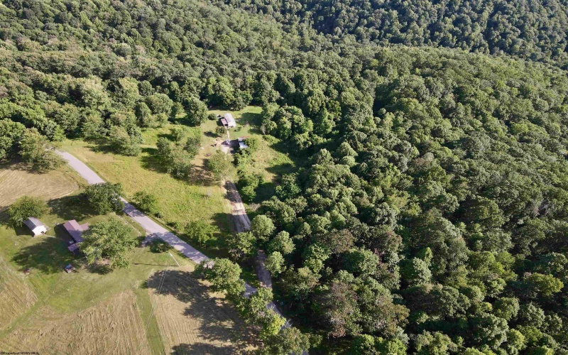 1945 Wilson Ridge Road, Duck, West Virginia 25063, 0 , 0 ,0,Lots/land,For Sale,Wilson Ridge,0,10165648