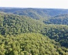 1945 Wilson Ridge Road, Duck, West Virginia 25063, 0 , 0 ,0,Lots/land,For Sale,Wilson Ridge,0,10165648