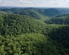 1945 Wilson Ridge Road, Duck, West Virginia 25063, 0 , 0 ,0,Lots/land,For Sale,Wilson Ridge,0,10165648