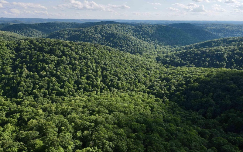 1945 Wilson Ridge Road, Duck, West Virginia 25063, 0 , 0 ,0,Lots/land,For Sale,Wilson Ridge,0,10165648