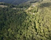 1945 Wilson Ridge Road, Duck, West Virginia 25063, 0 , 0 ,0,Lots/land,For Sale,Wilson Ridge,0,10165648