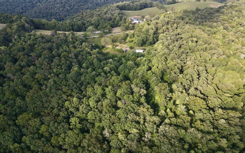 1945 Wilson Ridge Road, Duck, West Virginia 25063, 0 , 0 ,0,Lots/land,For Sale,Wilson Ridge,0,10165648