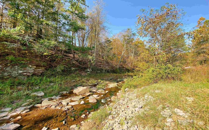 TBD Blizzard Gate Road, Harman, West Virginia 26270, 0 , 0 ,0,Lots/land,For Sale,Blizzard Gate,0,10165640