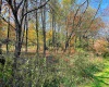 TBD Blizzard Gate Road, Harman, West Virginia 26270, 0 , 0 ,0,Lots/land,For Sale,Blizzard Gate,0,10165640