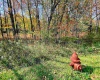 TBD Blizzard Gate Road, Harman, West Virginia 26270, 0 , 0 ,0,Lots/land,For Sale,Blizzard Gate,0,10165640