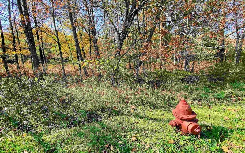 TBD Blizzard Gate Road, Harman, West Virginia 26270, 0 , 0 ,0,Lots/land,For Sale,Blizzard Gate,0,10165640