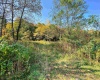 TBD Blizzard Gate Road, Harman, West Virginia 26270, 0 , 0 ,0,Lots/land,For Sale,Blizzard Gate,0,10165640