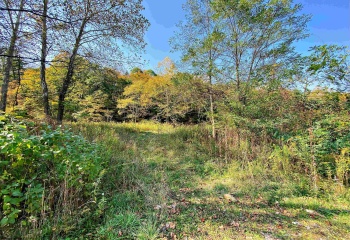 TBD Blizzard Gate Road, Harman, West Virginia 26270, 0 , 0 ,0,Lots/land,For Sale,Blizzard Gate,0,10165640