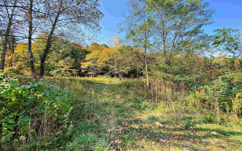 TBD Blizzard Gate Road, Harman, West Virginia 26270, 0 , 0 ,0,Lots/land,For Sale,Blizzard Gate,0,10165640