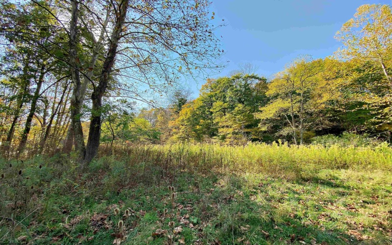 TBD Blizzard Gate Road, Harman, West Virginia 26270, 0 , 0 ,0,Lots/land,For Sale,Blizzard Gate,0,10165640