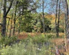 TBD Blizzard Gate Road, Harman, West Virginia 26270, 0 , 0 ,0,Lots/land,For Sale,Blizzard Gate,0,10165640