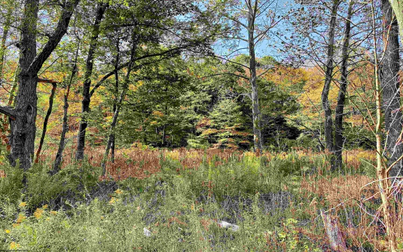TBD Blizzard Gate Road, Harman, West Virginia 26270, 0 , 0 ,0,Lots/land,For Sale,Blizzard Gate,0,10165640