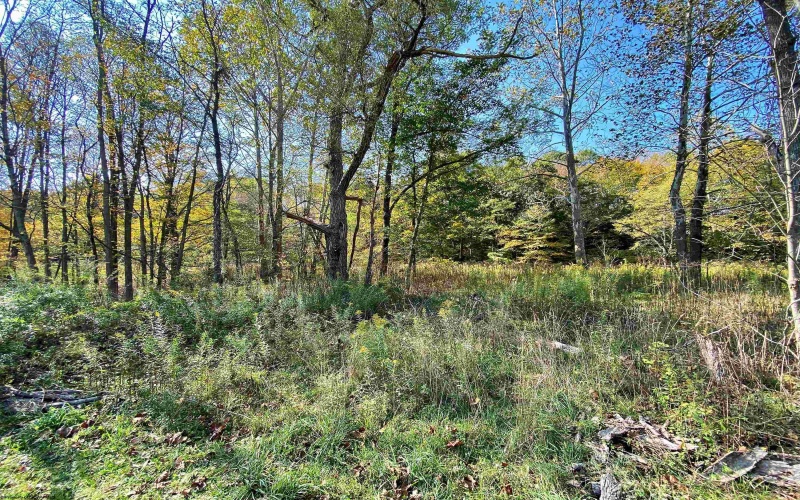 TBD Blizzard Gate Road, Harman, West Virginia 26270, 0 , 0 ,0,Lots/land,For Sale,Blizzard Gate,0,10165640