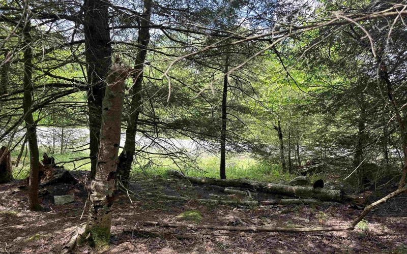 Lot 96 Gondola Court, Davis, West Virginia 26260, 0 , 0 ,0,Lots/land,For Sale,Gondola,0,10154433 Lot 96 Gondola Court, Davis, West Virginia 26260, 0 , 0 ,0,Lots/land,For Sale,Gondola,0,10154433