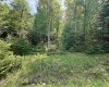 Lot 96 Gondola Court, Davis, West Virginia 26260, 0 , 0 ,0,Lots/land,For Sale,Gondola,0,10154433 Lot 96 Gondola Court, Davis, West Virginia 26260, 0 , 0 ,0,Lots/land,For Sale,Gondola,0,10154433
