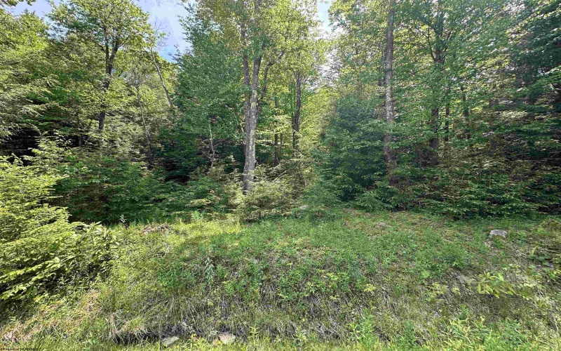 Lot 96 Gondola Court, Davis, West Virginia 26260, 0 , 0 ,0,Lots/land,For Sale,Gondola,0,10154433 Lot 96 Gondola Court, Davis, West Virginia 26260, 0 , 0 ,0,Lots/land,For Sale,Gondola,0,10154433