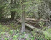 Lot 96 Gondola Court, Davis, West Virginia 26260, 0 , 0 ,0,Lots/land,For Sale,Gondola,0,10154433 Lot 96 Gondola Court, Davis, West Virginia 26260, 0 , 0 ,0,Lots/land,For Sale,Gondola,0,10154433
