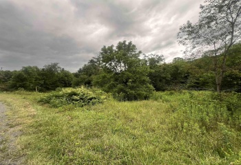 TBD Midland Trail, Rupert, West Virginia 25984, 0 , 0 ,0,Lots/land,For Sale,Midland,0,10156089