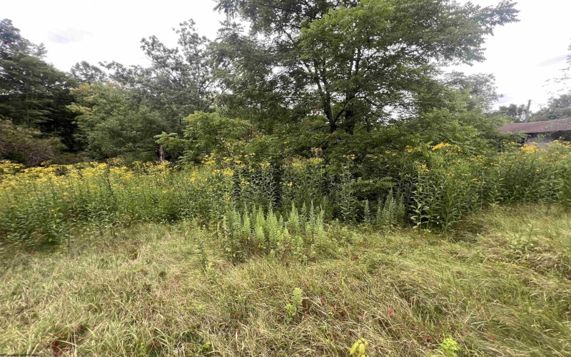 TBD Midland Trail, Rupert, West Virginia 25984, 0 , 0 ,0,Lots/land,For Sale,Midland,0,10156089