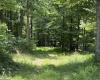 184 Woodstone Lane, Parsons, West Virginia 26287-0000, 3 Bedrooms Bedrooms, 8 Rooms Rooms,3 BathroomsBathrooms,Single Family Detached,For Sale,Woodstone,0,10165638