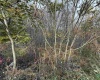 13573 South Preston Highway, Kingwood, West Virginia 26537, 0 , 0 ,0,Commercial (for Sale),For Sale,South Preston,0,10162292