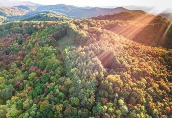 7242 Files Creek Road, Beverly, West Virginia 26253, 0 , 0 ,0,Commercial (for Sale),For Sale,Files Creek,0,10164520