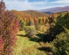 7242 Files Creek Road, Beverly, West Virginia 26253, 0 , 0 ,0,Commercial (for Sale),For Sale,Files Creek,0,10164520