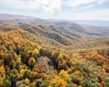 7242 Files Creek Road, Beverly, West Virginia 26253, 0 , 0 ,0,Commercial (for Sale),For Sale,Files Creek,0,10164520