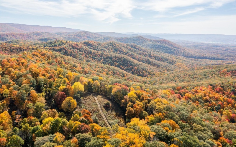 7242 Files Creek Road, Beverly, West Virginia 26253, 0 , 0 ,0,Commercial (for Sale),For Sale,Files Creek,0,10164520