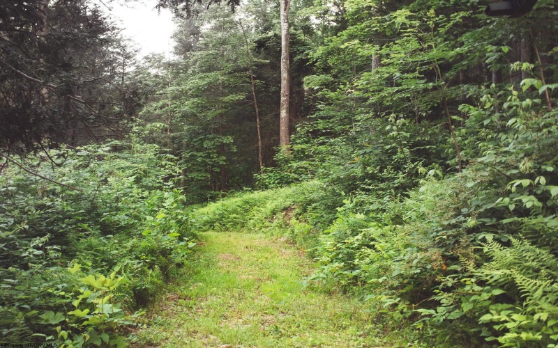 7242 Files Creek Road, Beverly, West Virginia 26253, 0 , 0 ,0,Commercial (for Sale),For Sale,Files Creek,0,10164520