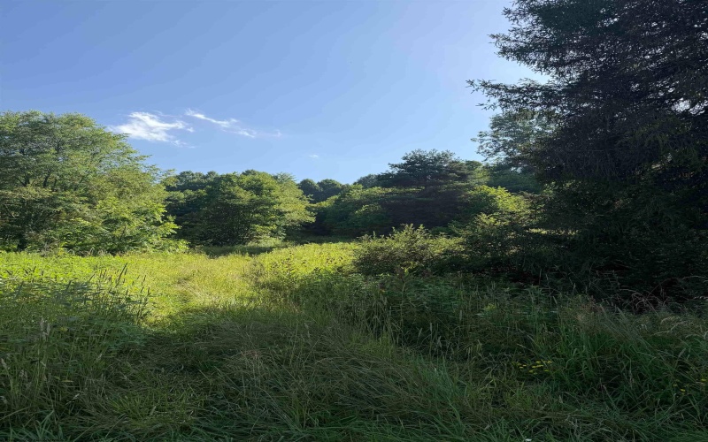 TBD Barbour County Highway, Belington, West Virginia 26250, 0 , 0 ,0,Lots/land,For Sale,Barbour County,0,10165659 TBD Barbour County Highway, Belington, West Virginia 26250, 0 , 0 ,0,Lots/land,For Sale,Barbour County,0,10165659