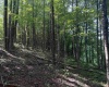 TBD Barbour County Highway, Belington, West Virginia 26250, 0 , 0 ,0,Lots/land,For Sale,Barbour County,0,10165659 TBD Barbour County Highway, Belington, West Virginia 26250, 0 , 0 ,0,Lots/land,For Sale,Barbour County,0,10165659