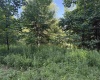 TBD Barbour County Highway, Belington, West Virginia 26250, 0 , 0 ,0,Lots/land,For Sale,Barbour County,0,10165659 TBD Barbour County Highway, Belington, West Virginia 26250, 0 , 0 ,0,Lots/land,For Sale,Barbour County,0,10165659