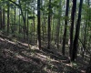 TBD Barbour County Highway, Belington, West Virginia 26250, 0 , 0 ,0,Lots/land,For Sale,Barbour County,0,10165659 TBD Barbour County Highway, Belington, West Virginia 26250, 0 , 0 ,0,Lots/land,For Sale,Barbour County,0,10165659