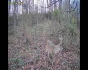 TBD Barbour County Highway, Belington, West Virginia 26250, 0 , 0 ,0,Lots/land,For Sale,Barbour County,0,10165659 TBD Barbour County Highway, Belington, West Virginia 26250, 0 , 0 ,0,Lots/land,For Sale,Barbour County,0,10165659
