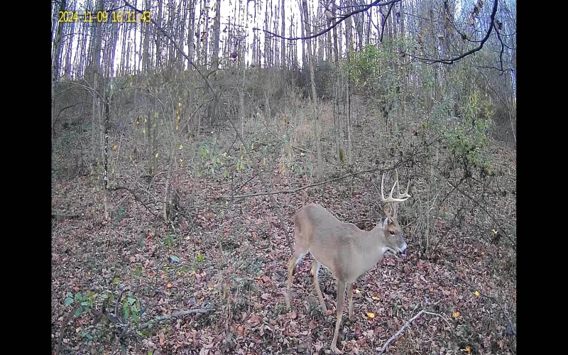 TBD Barbour County Highway, Belington, West Virginia 26250, 0 , 0 ,0,Lots/land,For Sale,Barbour County,0,10165659 TBD Barbour County Highway, Belington, West Virginia 26250, 0 , 0 ,0,Lots/land,For Sale,Barbour County,0,10165659