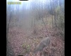 TBD Barbour County Highway, Belington, West Virginia 26250, 0 , 0 ,0,Lots/land,For Sale,Barbour County,0,10165659 TBD Barbour County Highway, Belington, West Virginia 26250, 0 , 0 ,0,Lots/land,For Sale,Barbour County,0,10165659