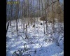 TBD Barbour County Highway, Belington, West Virginia 26250, 0 , 0 ,0,Lots/land,For Sale,Barbour County,0,10165659 TBD Barbour County Highway, Belington, West Virginia 26250, 0 , 0 ,0,Lots/land,For Sale,Barbour County,0,10165659