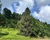 TBD Barbour County Highway, Belington, West Virginia 26250, 0 , 0 ,0,Lots/land,For Sale,Barbour County,0,10165659 TBD Barbour County Highway, Belington, West Virginia 26250, 0 , 0 ,0,Lots/land,For Sale,Barbour County,0,10165659