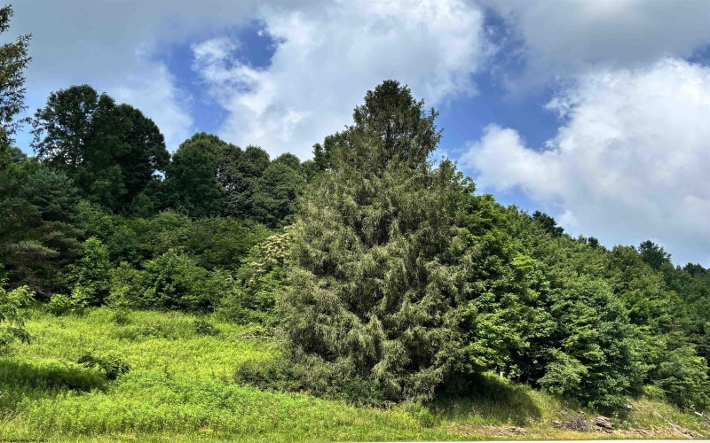 TBD Barbour County Highway, Belington, West Virginia 26250, 0 , 0 ,0,Lots/land,For Sale,Barbour County,0,10165659 TBD Barbour County Highway, Belington, West Virginia 26250, 0 , 0 ,0,Lots/land,For Sale,Barbour County,0,10165659