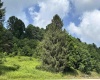 TBD Barbour County Highway, Belington, West Virginia 26250, 0 , 0 ,0,Lots/land,For Sale,Barbour County,0,10165659 TBD Barbour County Highway, Belington, West Virginia 26250, 0 , 0 ,0,Lots/land,For Sale,Barbour County,0,10165659