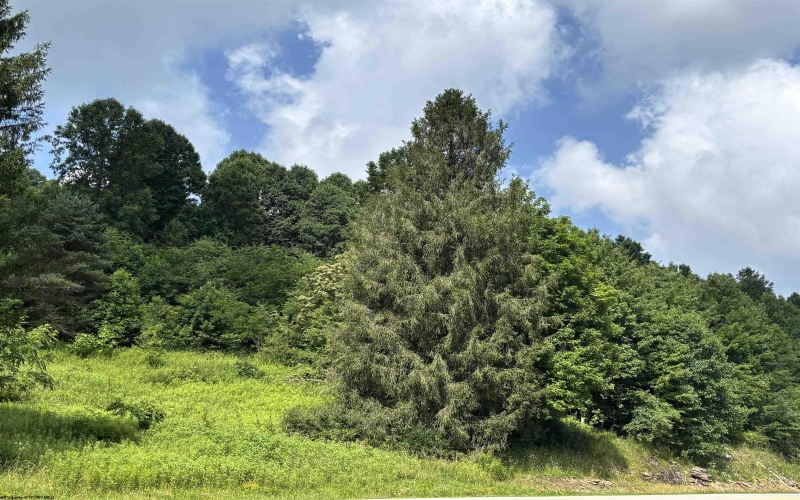 TBD Barbour County Highway, Belington, West Virginia 26250, 0 , 0 ,0,Lots/land,For Sale,Barbour County,0,10165659 TBD Barbour County Highway, Belington, West Virginia 26250, 0 , 0 ,0,Lots/land,For Sale,Barbour County,0,10165659