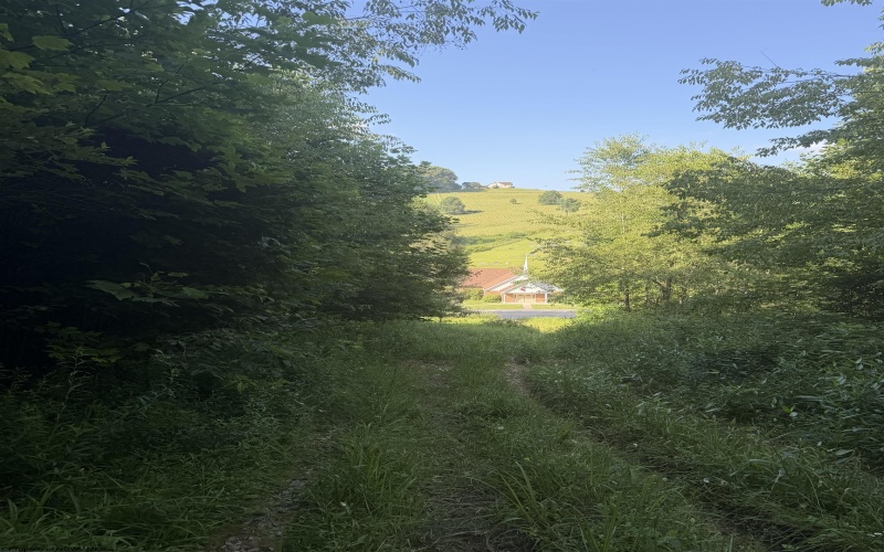 TBD Barbour County Highway, Belington, West Virginia 26250, 0 , 0 ,0,Lots/land,For Sale,Barbour County,0,10165659 TBD Barbour County Highway, Belington, West Virginia 26250, 0 , 0 ,0,Lots/land,For Sale,Barbour County,0,10165659