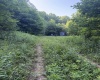 TBD Barbour County Highway, Belington, West Virginia 26250, 0 , 0 ,0,Lots/land,For Sale,Barbour County,0,10165659 TBD Barbour County Highway, Belington, West Virginia 26250, 0 , 0 ,0,Lots/land,For Sale,Barbour County,0,10165659